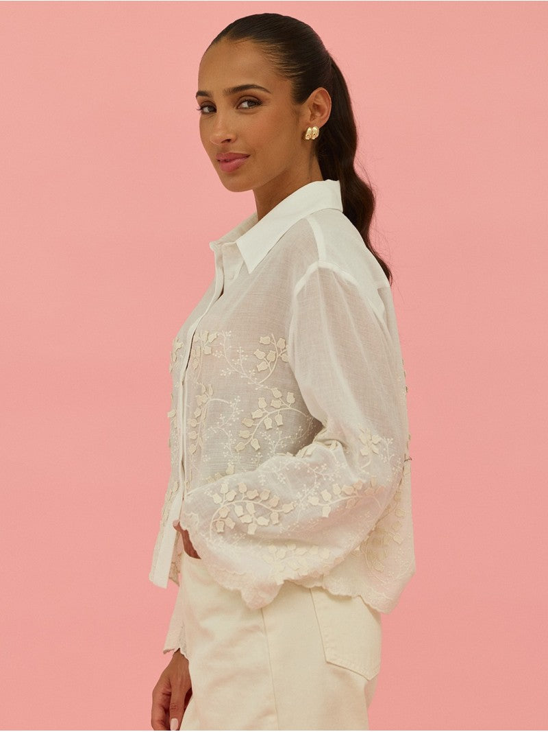CAMISA DELICATE