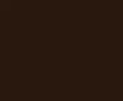 BLUSA BWN DEEP