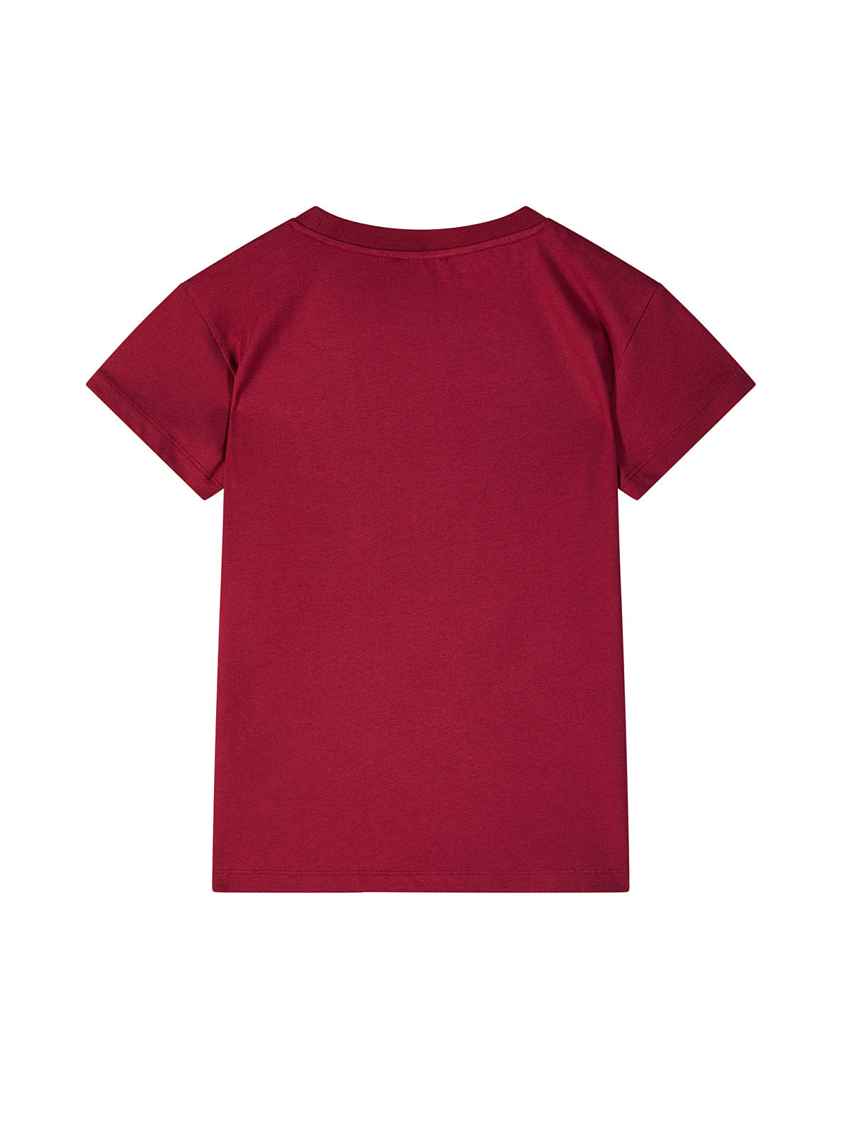 CAMISETA BASICA PP